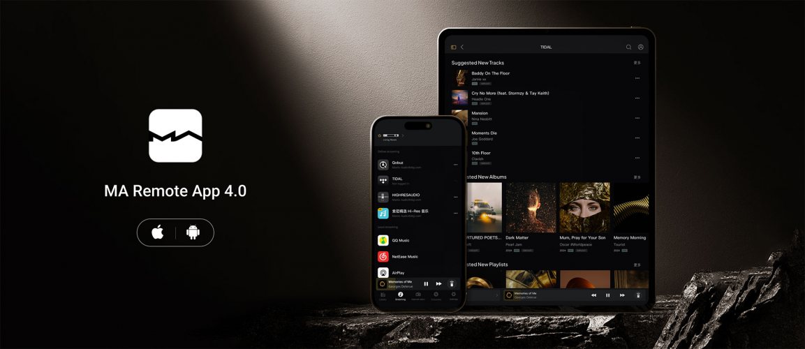 Matrix Audio element I2 Сетевой проигрыватель